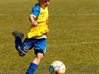 30-04-23 G in Möser #3