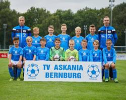 Mannschaftsfoto - D1-Junioren - Saison 2017/18